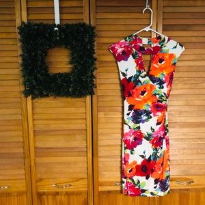 Gorgeous floral Cache dress, size small